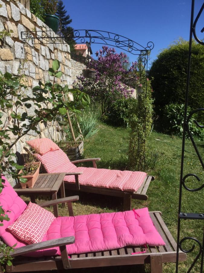 Rez de jardin de chalet bois , calme et verdure ! Saint-Martin-Vésubie Extérieur photo